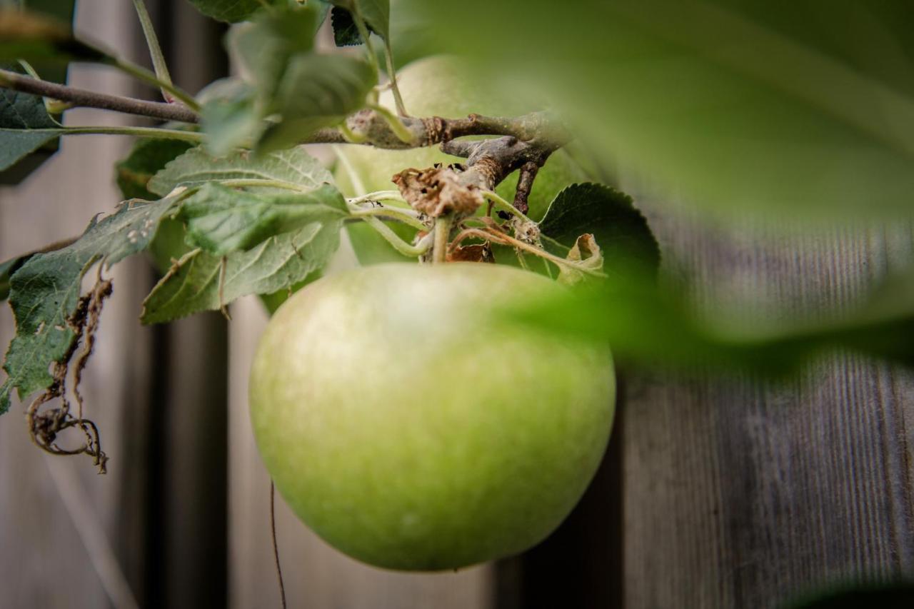 De Greenhouse, Free Parking Amsterdam Ngoại thất bức ảnh